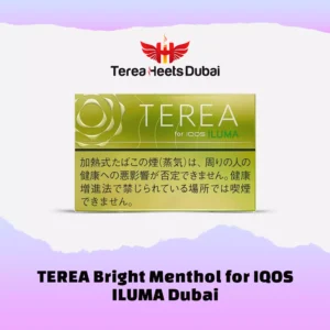 Buy IQOS Terea Bright Menthol Japan sticks online in UAE