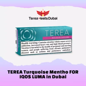 Premium TEREA Turquoise Menthol Italy sticks – fresh menthol experience in UAE