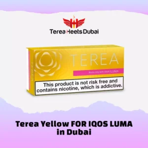 Order Terea Yellow for IQOS ILUMA online in UAE