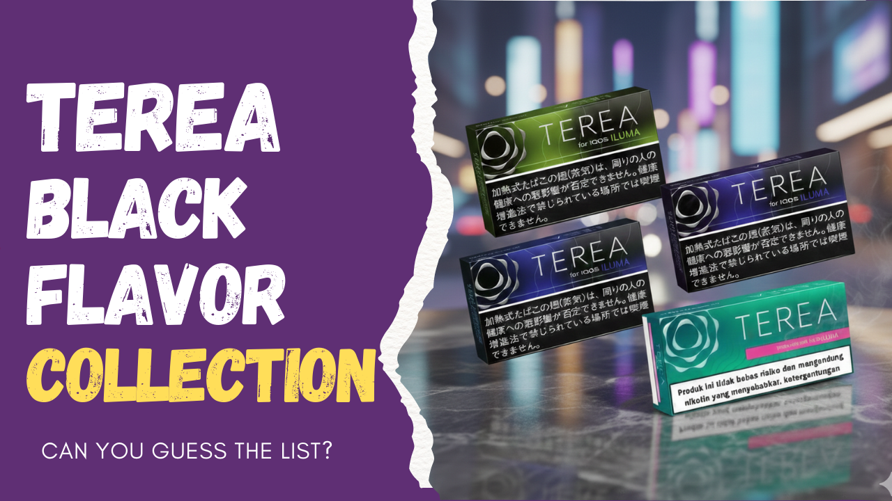 The Complete TEREA Black Collection for IQOS ILUMA Users