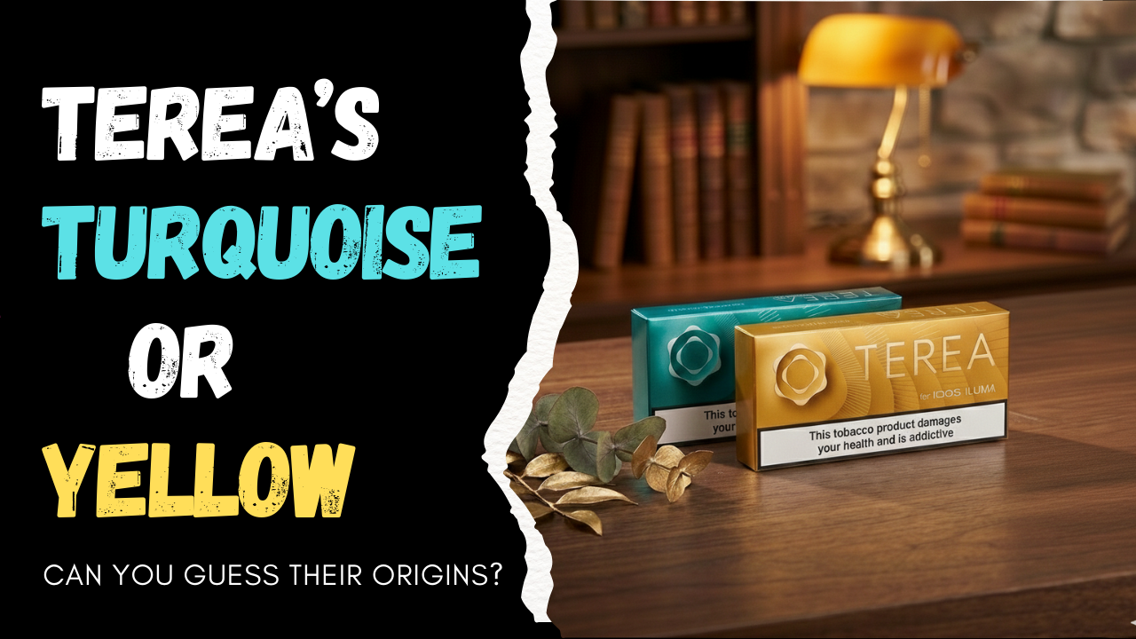TEREA Yellow or TEREA Turquoise: Which One Is Better for Casual Use in UAE?
